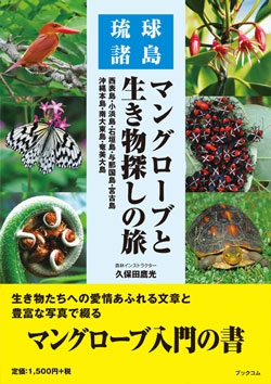 琉球諸島 マングローブと生き物探しの旅